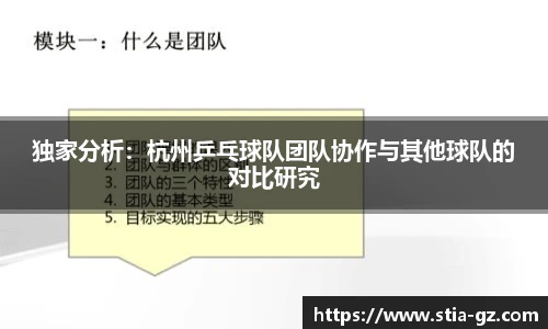 独家分析：杭州乒乓球队团队协作与其他球队的对比研究
